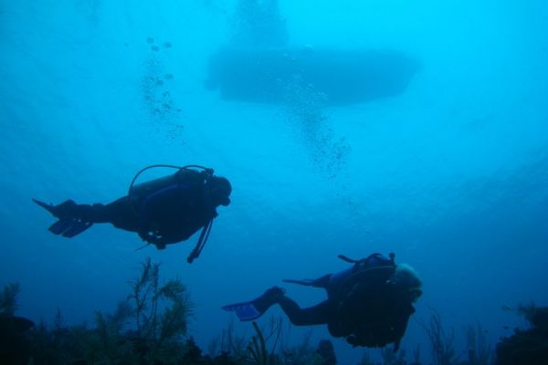 buceo-y-snorkel-en-chinchorro-e1470621718127D12F0030-0626-A932-ED20-16EE9BA769EA.jpg