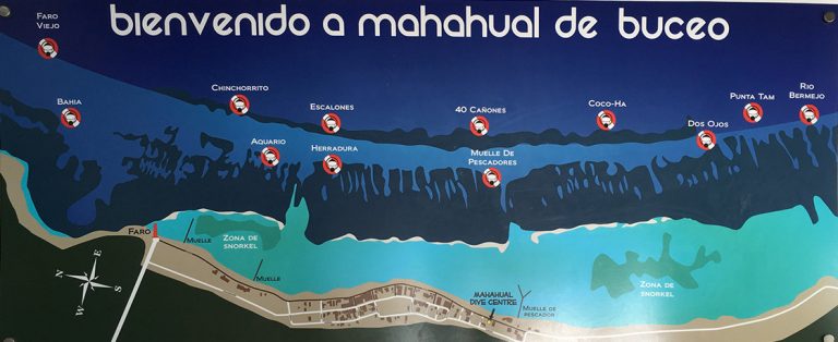 Zonas Buceo Mahahual 768x314