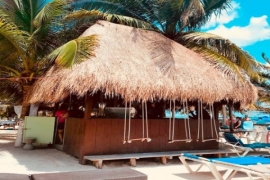 The Tipsy Turtle Restaurant &amp; Barefoot Beach Club