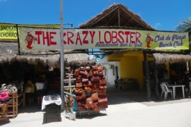 The Krazy Lobster