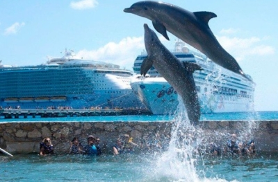 Dolphin Discovery Costa Maya